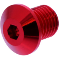 BLANKING PLUG MIRROR THREAD DAYTONA 3628