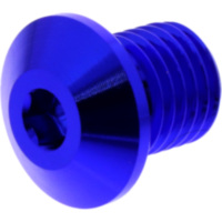 BLANKING PLUG MIRROR THREAD DAYTONA 3629
