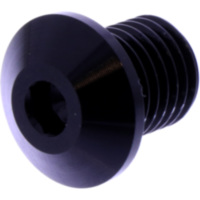 BLANKING PLUG MIRROR THREAD DAYTONA 3633