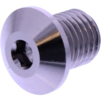 BLANKING PLUG MIRROR THREAD DAYTONA 3634