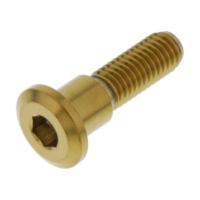 Brake disc screw jmp LSSDISCTRIFRG