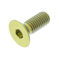 Countersunk screw TICS820G