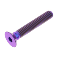 Countersunk screw TICS530P