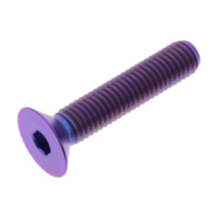 Countersunk screw TICS840P