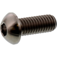 Jmp brake disc bolt TIDISCDUC30