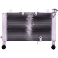 Radiator jmp 1075981