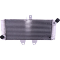 RADIATOR JMP 0419