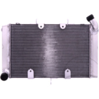 RADIATOR JMP 0487