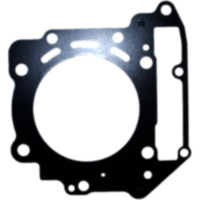 Cylinder head gasket S410010001009