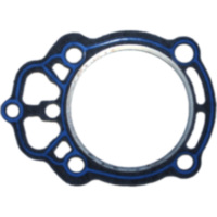 Cylinder head gasket S410190001013