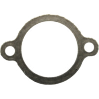 Exhaust gasket S410270012013