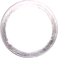 Exhaust gasket S410270012018