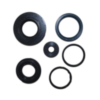 Shaft seal set athena P400485400076