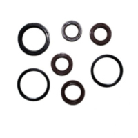 Engine oil seal kit P400480400126