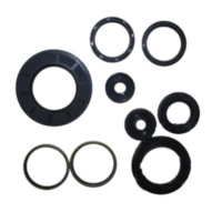 Engine oil seal kit P400485400068