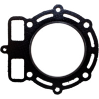 Cylinder head gasket S410270001018