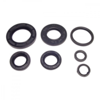 Engine oil seal kit P400210400284