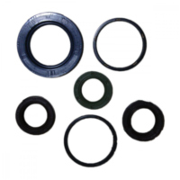 Engine oil seal kit P400480400007