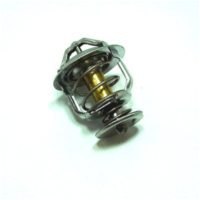 Thermostat TMT105