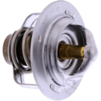 Thermostat Originalersatzteil 490541055