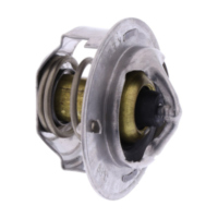 Thermostat (orig spare part) YK0009