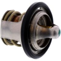 Thermostat für: BMW Original 11538562895