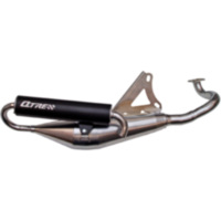 Exhaust q-tre 060838312