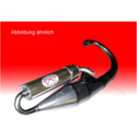 Schalldämpfer Handmade TT Leovince 150391