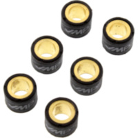 Roller weight kit 6.2 g jmt