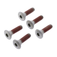 Brake disc screw kit trw MSS1255
