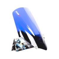 Racing screen puig 4061A