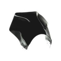Windshield raptor puig 2127N