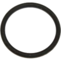 Sealing ring fpm id 904480