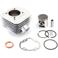 AIRSAL-Zylinder-Kit - Ø55mm für: Peugeot für ELYSEO1002T, SPEEDFIGHT21002T