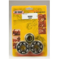 HOT RODS Crankshaft Bearing & Oil Seal Kit for Suzuki RM125 Vespa VESPAPX