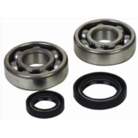 ALL BALLS Crankshaft Bearing & Oil Seal Kit for Yamaha YFZ350BANSHEE