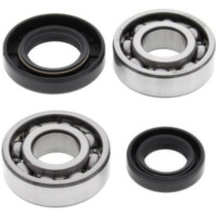 ALL BALLS Crankshaft Bearing & Oil Seal Kit for Suzuki LT50QUADRUNNER