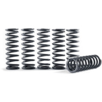 REPLACEMENT SPRING FOR HONDA CLUTCH KIT for CRF450R