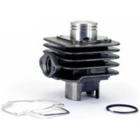 TECNIUM Cylinder Kit - for: Piaggio/Vespa for DIESIS50, FLY502T, FREE50 VESPAET2, VESPALX, VESPALXV