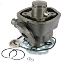 TECNIUM Cylinder Kit - Minarelli Horizontal Water-Cooled for Aprilia, Malaguti, MBK