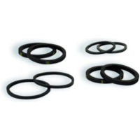 SEALS FOR N2PL/R SILVER