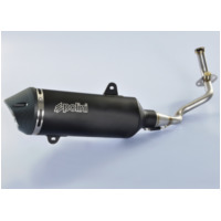 POLINI Maxi-Scooter komplette Auspuffanlage - Aluminium schwarz Piaggio für MEDLEY125