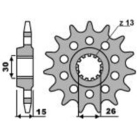 PBR Standard Stahlritzel vorne 2198 - 525 für BMW HP4, S1000R, S1000RR