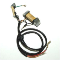 ELECTROSPORT Stator - for: Yamaha YZ125