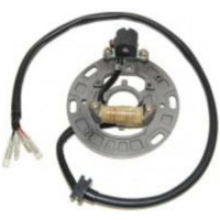ELECTROSPORT Stator - für Kawasaki KX125