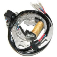 ELECTROSPORT Stator - for: Kawasaki for KX100, KX80