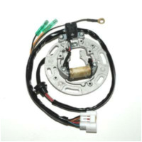 ELECTROSPORT Stator - für Kawasaki KX100, KX85