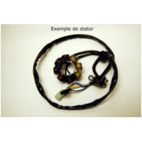 ELECTROSPORT Stator - für Suzuki RM125/250 RM250