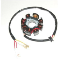 ELECTROSPORT Stator - for: KTM for 250EXCRACING, 250EXC-F, 450EXCRACING Husaberg FE450, FE550, FE650