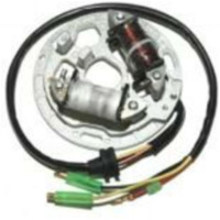 ELECTROSPORT Stator - für Kawasaki KDX200, KDX220